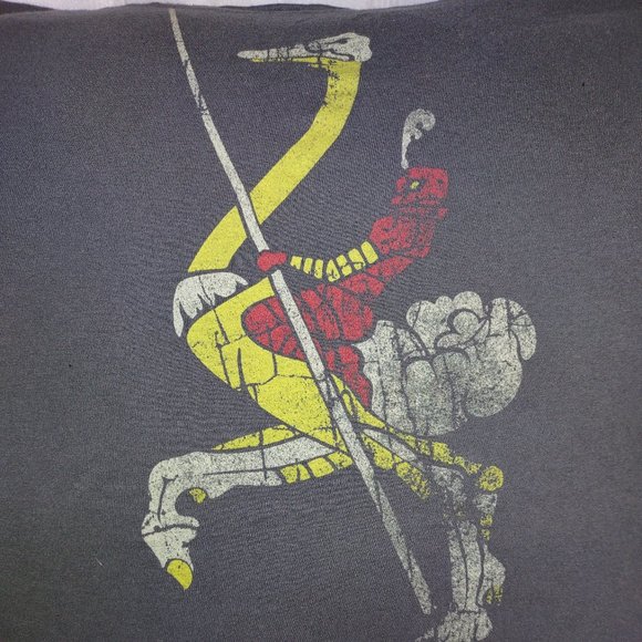 Rag Frog Revival  Joust Throw pillow cover Up-cycled from a T-shirt size 14"x14" - Picture 4 of 4